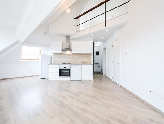 MAGNIFICENT DUPLEX 2 BEDROOMS + MEZZANINE